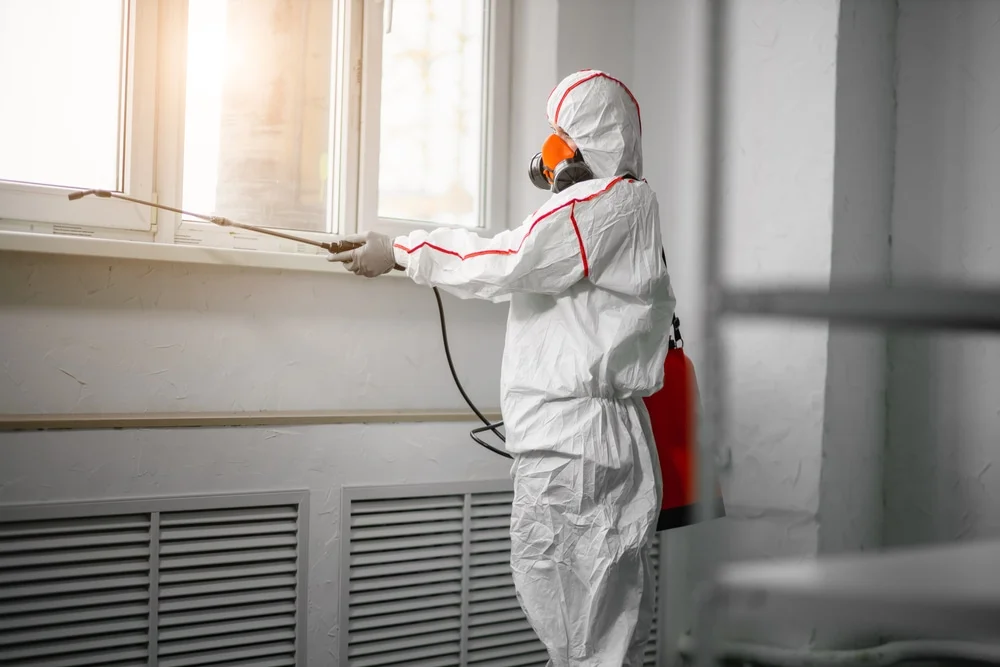 Professional mold remediation services in Middlebranch, OH